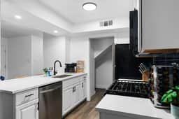 Elevated Living Steps from Zilker & South Congress