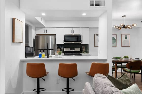 Premier Access to Zilker Park & South Congress